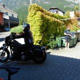 Südtirol Mai 2019 02.06.19 Kamera Dani  (6)